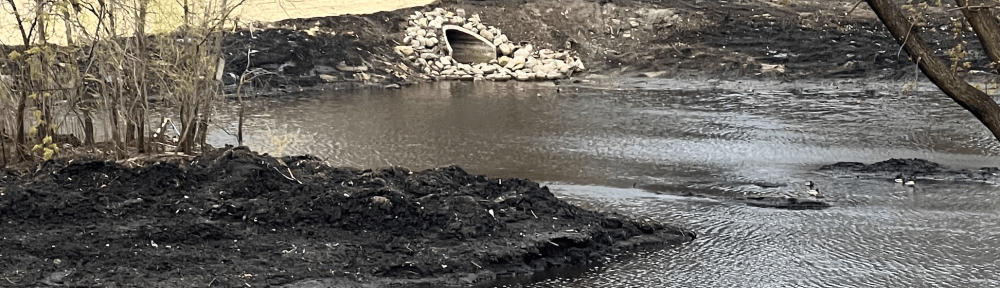 A pond with a storm drain entering it at the top