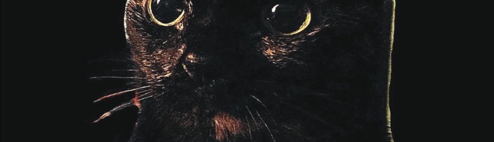 A black cat with green eyes staring slightly off to the viewers left