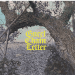 A twisted old tree set in a field of fallen leaves