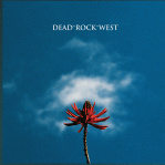 A cactus spike with a red flower set against a partly cloudy sky.